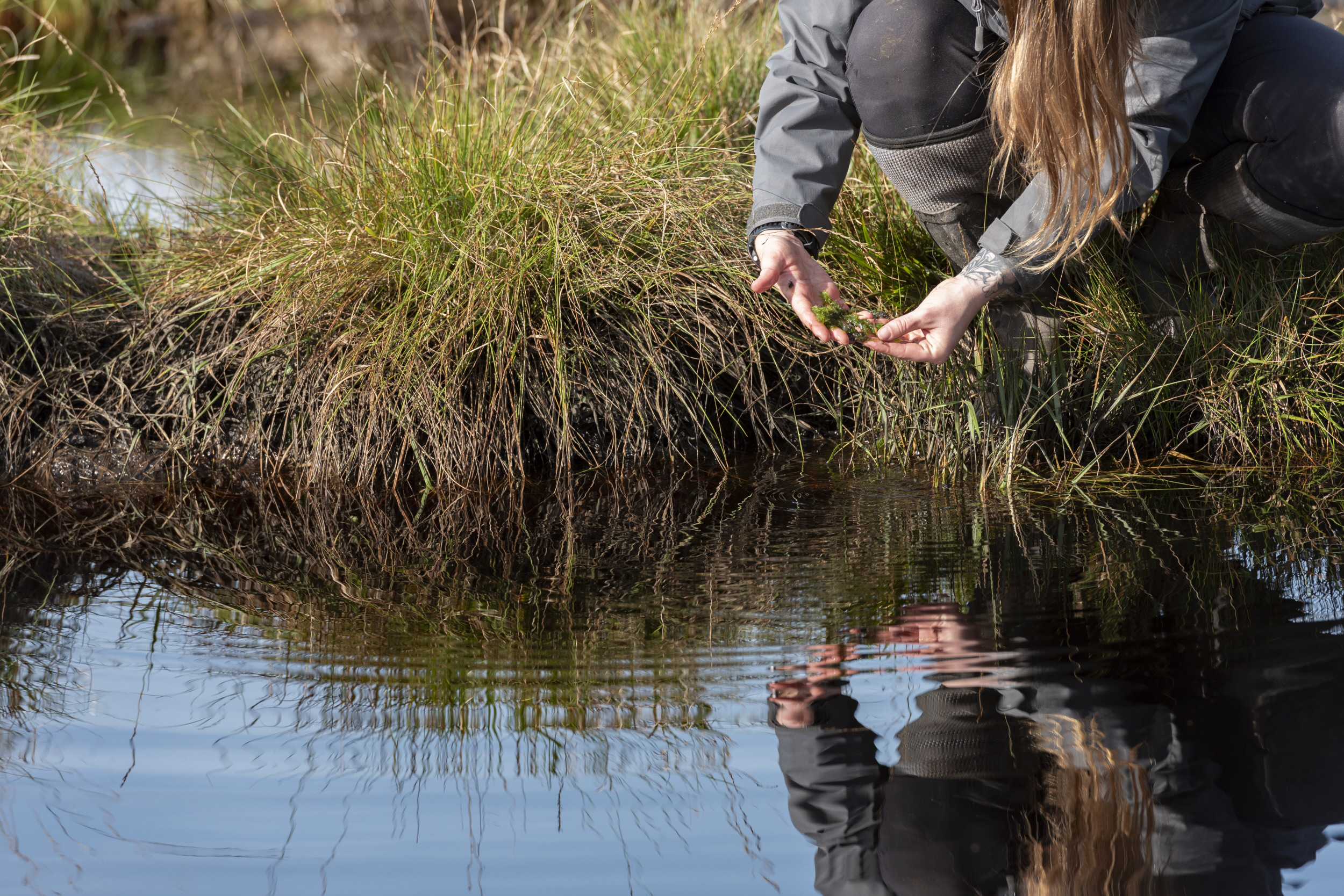 Staff working on the peatlands ©National Trust/Paul Harris